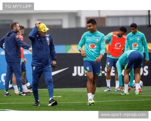 巴西世界杯决赛的比赛过程与关键时刻深度解析