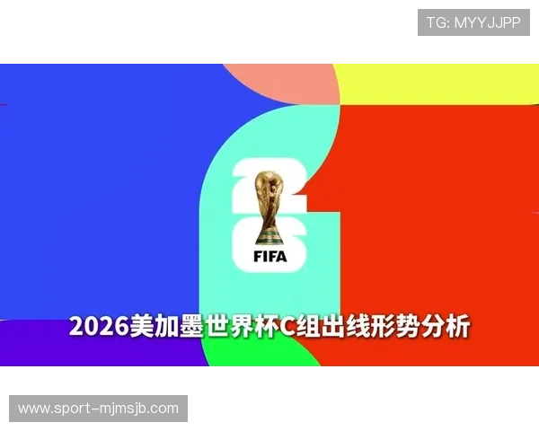 巴西队2026世界杯最新战况分析与未来展望