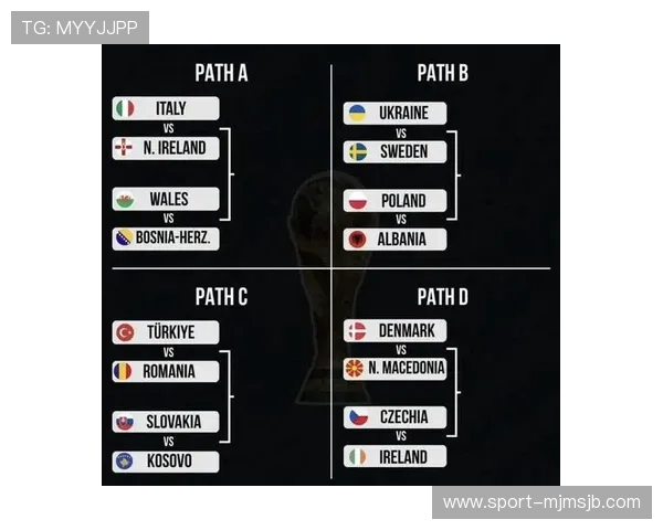 详细解读世界杯预选赛积分榜变化趋势分析各队晋级概率